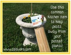 Flower pot skewers