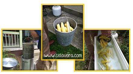 Freezing Corn and Cooling in Ice Water Cooler