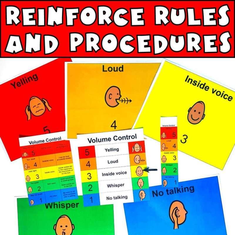 Autism Visual Aids Student Classroom Signs and Procedures - Image 2