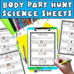 Body part worksheet for body parts hunt science sheets in kindergarten