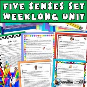 five senses worksheet set with weeklong unit for preschool or kindergarten