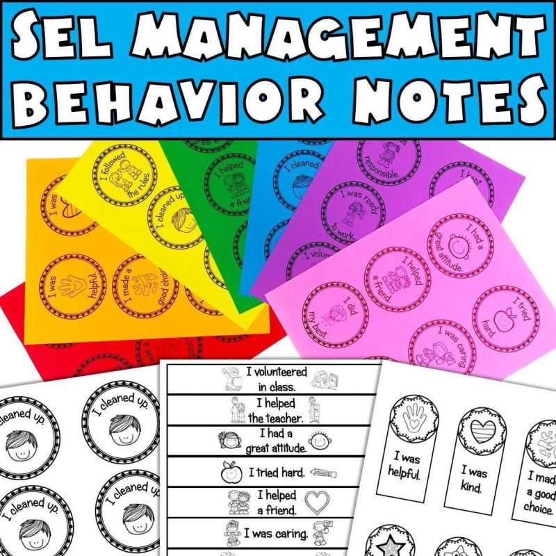 Behavior reward ideas SEL management notes