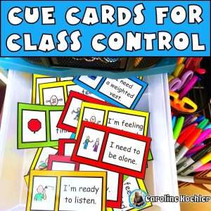 Visual cue cards autism support for class control